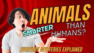 Beyond Tricks: Unveiling the True Intelligence of Animals | Everyday Mysteries Explained