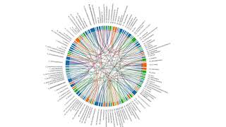 Systemic Risk Dashboard
