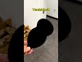 Ye duniya ki sabse DARKEST cheez hai! 😱🕳️ #shorts #sciencefacts #vantablack #facts #experiment