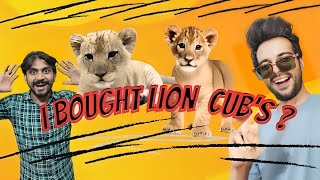 Cute Lion Cub | prank gone wrong |