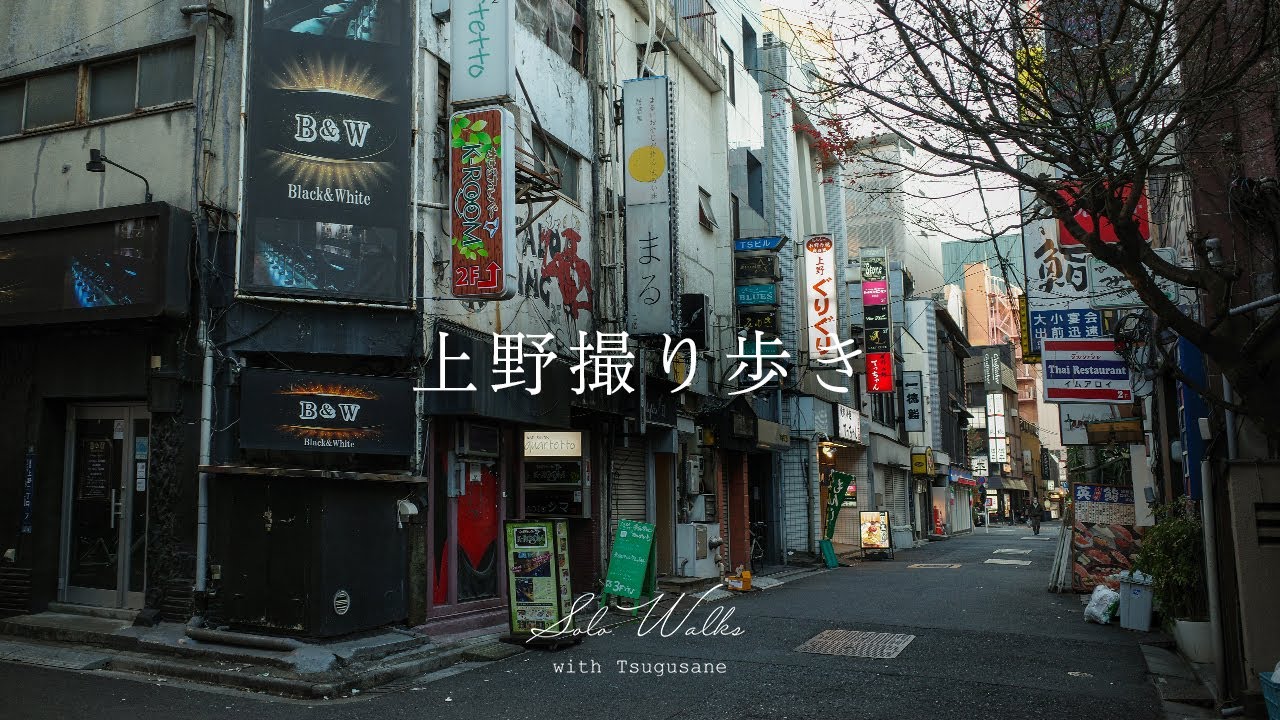 年の瀬、上野に交差する喧騒と静寂 賑わうアメ横から上野広小路へ｜Solo Walk in Ueno (Tokyo, Japan)