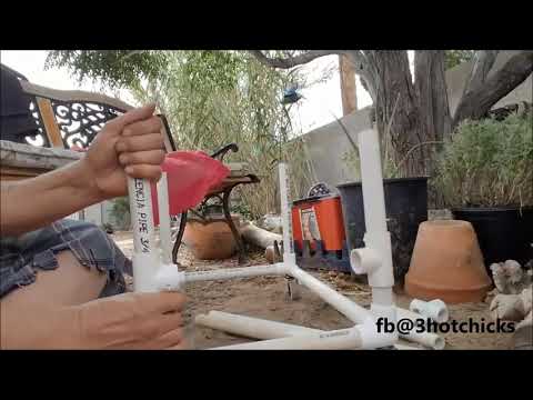 Easy steps to make a chicken therapy wheelchair