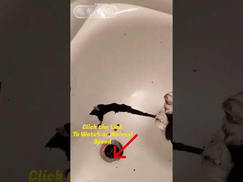 How to CLEAR a clogged BATHTUB DRAIN using a manual plumbing snake, super EASY tutorial thumbnail