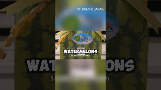 Did You Know Japan Sells Square Watermelons? 🍉😱