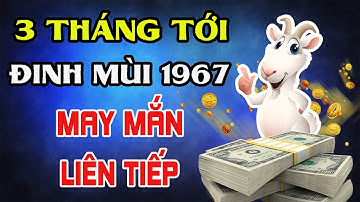 Tiên Tri Chấn Động Tuổi ĐInh Mùi 1967 May Mắn Liên Tiếp, Tiền Vàng Đổ Về Như Lũ Tháng 8 9 10 Âm Lịch