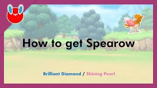 How to get Spearow in Pokémon Brilliant Diamond & Shining Pearl [#021]