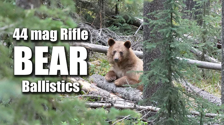 Bear Hunt! 44 mag - Rifle - Ballistics