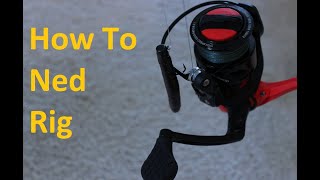 Everything you need to know about ned rigs