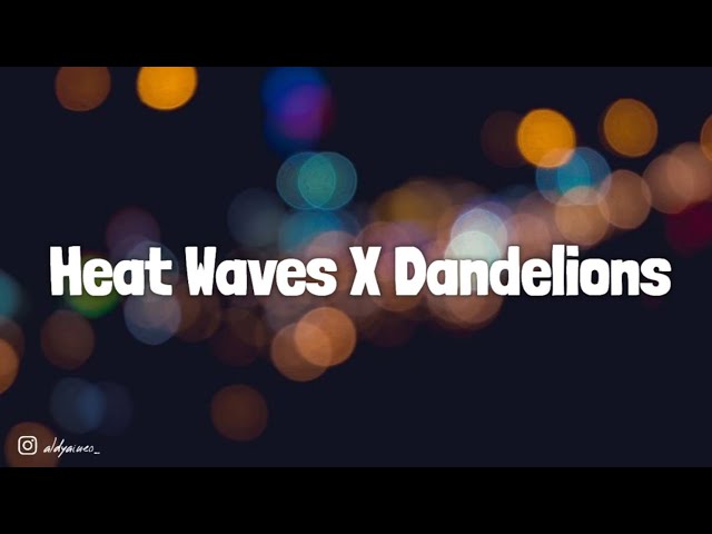 Heat Waves X Dandelions (Lyric Video) class=