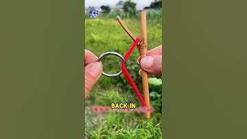 "Can You Outsmart This Puzzle? Try It in 30 Seconds!" #puzzle#iq#iqtest