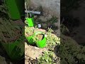 flower🌹 pear🍐 pomegranate🍅 and fig🍒 small plant ☘️