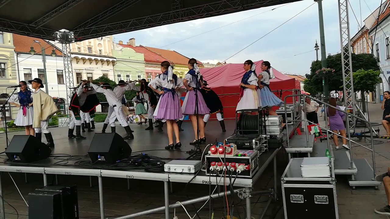 DFS Šarišanček-goral