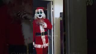 Art The Clown In NYC Enjoying Christmas Festivities (w025)