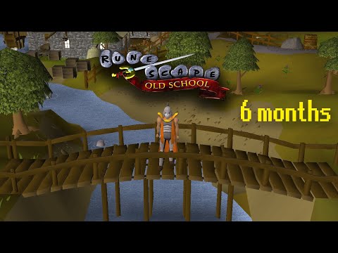 I Made a New Ironman Account (6 months of progress) - OSRS