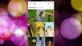 EraWallpaper - Live & HD Wallpapers (Backgrounds) version(1.1) screenshot 2