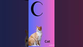 Nastya ABC Song and more Music Videos for kids