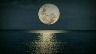 Download Lagu yang pertama kali cover vanny fabiola cipta pance pondaag MP3