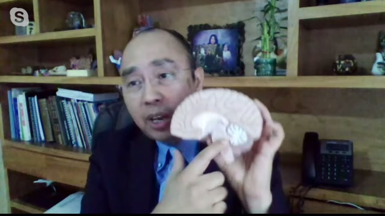 “El manejo de la Depresión”