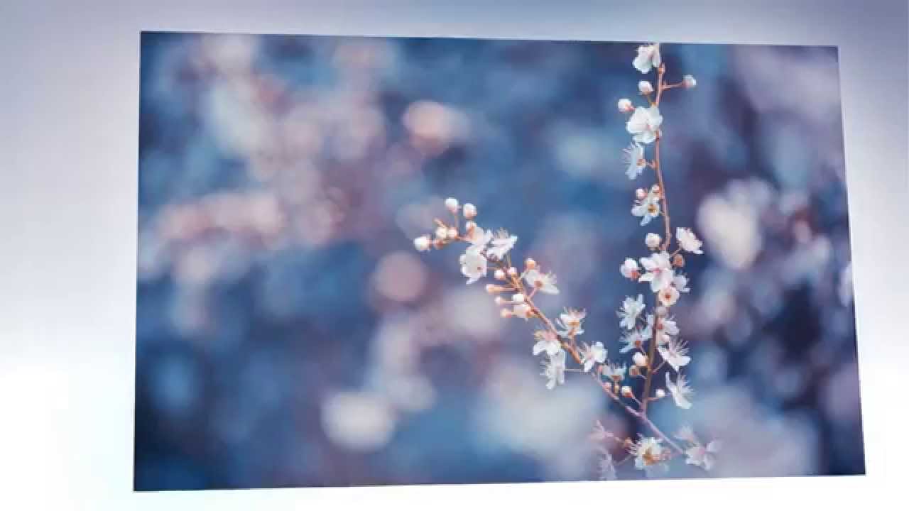 Лечение_голубым_цветом. Цветотерапия_голубого_цвета. - YouTube