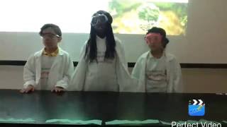 How to make a hydroponics unit