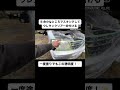 ヤフオクで35万円の車買ってみたら、、、#shorts