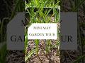 Mini May Garden Tour! #may #garden #gardening #gardentour #shorts