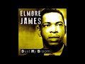 Elmore james  dust my broom backing track in e