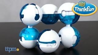 Famous Fidgitz from ThinkFun Wealth