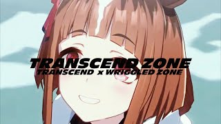 TRANSCEND ZONE【トランセンド ✘ wriggled zone】