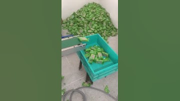 #shorts soap packing machine