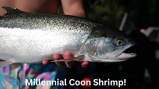 Columbia River Summer Steelhead | Millennial Coon Shrimp |