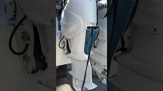 IMG 4791