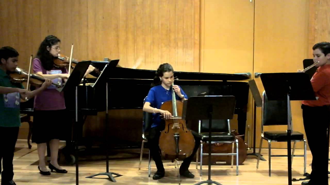 Sheep may safely graze concierto fin de año) JS Bach - YouTube
