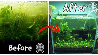 Know this before you start your FIRST Planted Tank |Basic tips for Aquarium beginners