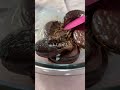【材料3つ!簡単!】チョコパイトリュフ #shorts