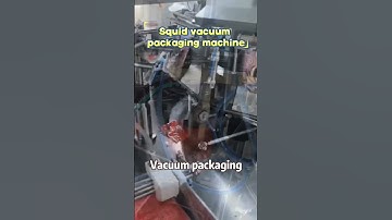 Squid automatic loading vacuum packaging machine#vacuumpackagingmachine