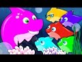 Five Little Sharks | Nursery Rhymes | Kids Songs | Baby Rhymes | Shark Song | Kids Tv Cartoon Videos
