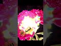 A Visual Islamic Prayer🕌 দৃশ্যমান ইসলামিক দোয়া📖 প্রার্থনা