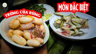 Một Trang Trại Trong Rừng Sạch Đẹp Và Món Rừng Đặc Biệt ✧ Suối Bản TV