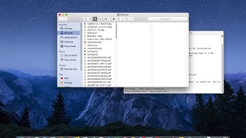 Signer - How to create self signed certificate