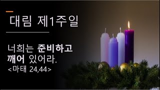 대림 제1주일 2025년 11월 30일