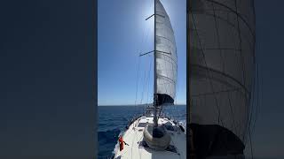 IMG 9563 #sailing