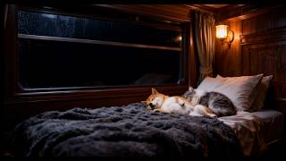 Cozy Sleeping Shiba Inu & Cat in Rainy Train Cabin | Rain on Window for Deep Sleep | 10 Hours