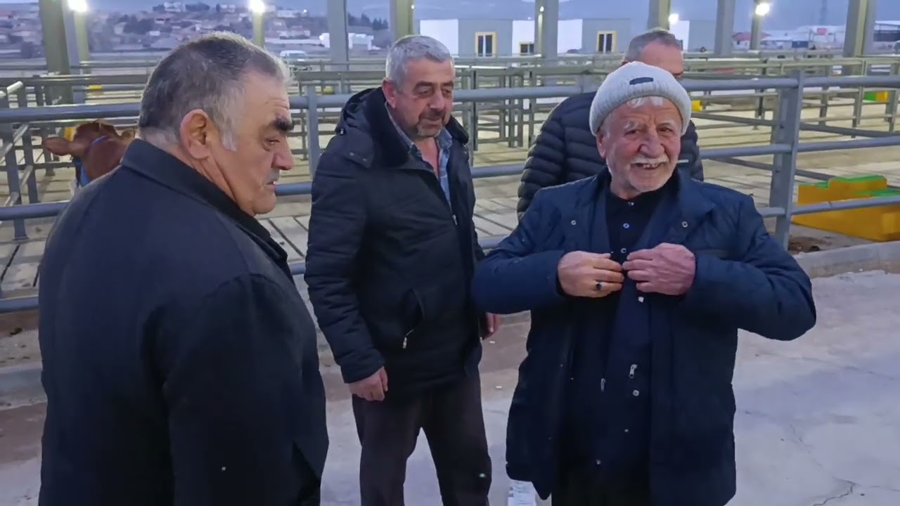 KAYSERİ TİCARET BORSASI CANLI HAYVAN PAZARI .!!! 25 ŞUBAT 2026 #PiyasanınNabızı