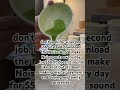 Thank you noise app #sidehustleideas #sidehustlesthatwork#noise #twrha #sidehustle