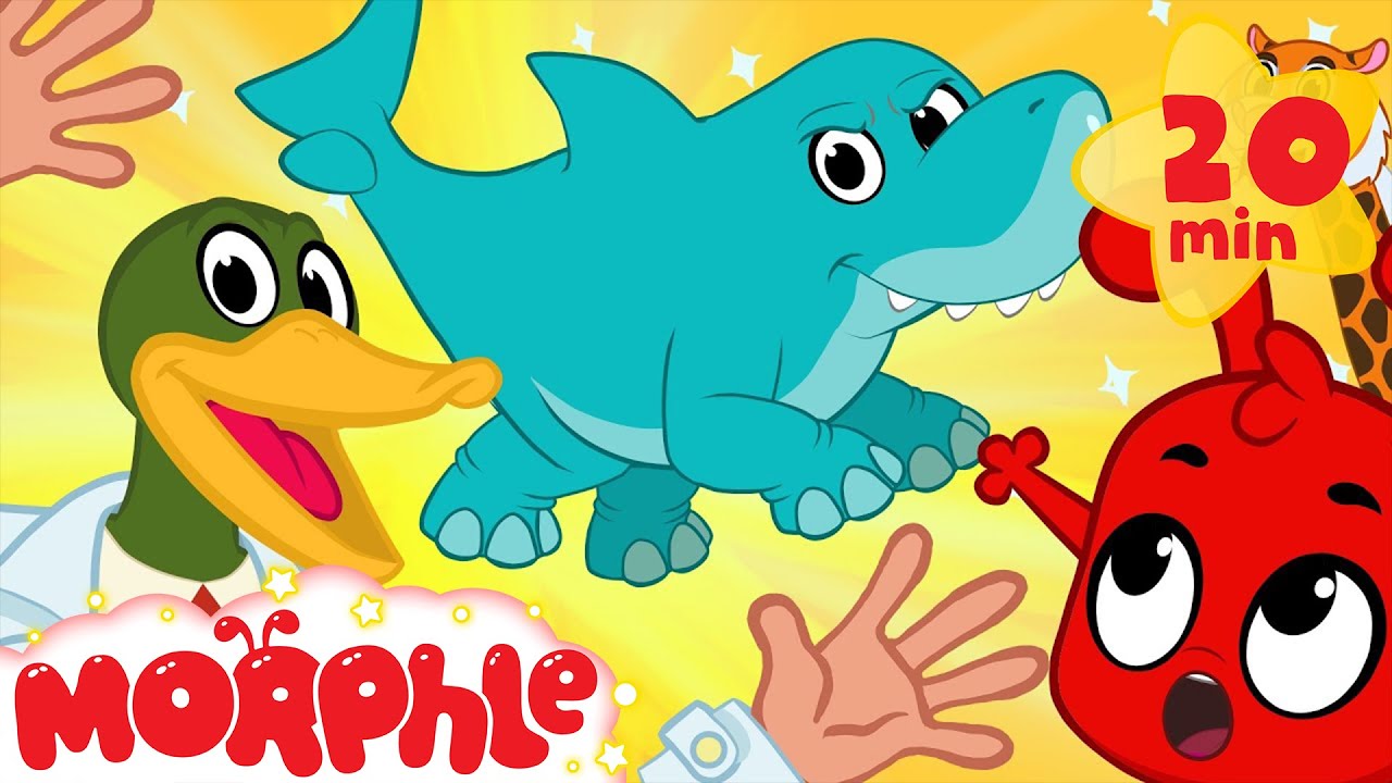 Super Hero Morphle's Crazy Animal Mixer! Shark Mixed with Elephant, Lion + cat and more Kids Vi