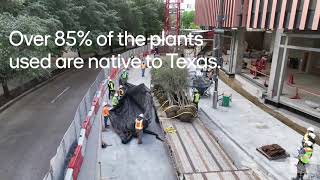 Terrace Gardens 1550 On The Green In Houston, Texas Skanska Usa