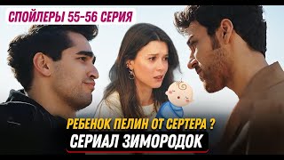 Сериал Зимородок 55-56 серия русская озвучка спойлеры - Отец ребенка Пелин Сертер?