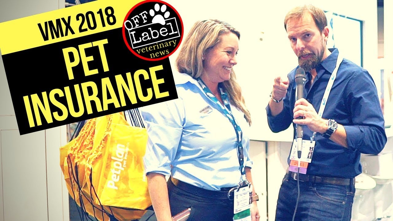 Pet Insurance with Petplan's Staci Welsh, LVT, CVPM 