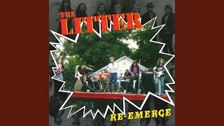 Starting over Again - The Litter